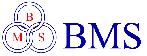 Studio BMS logo